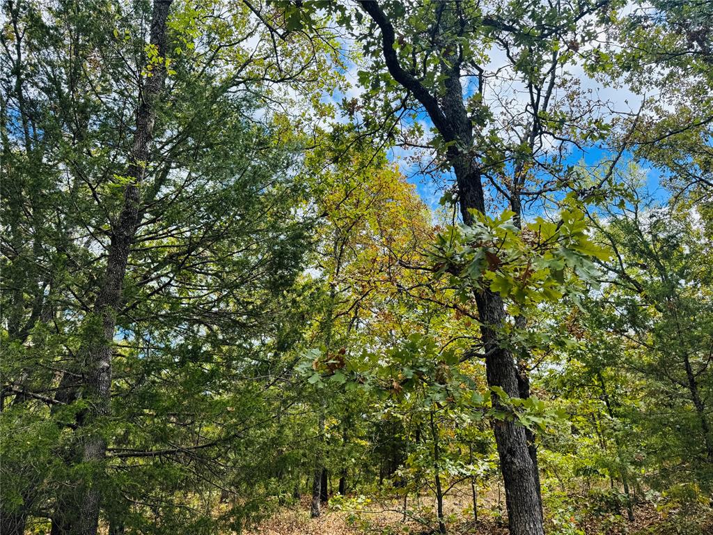 11825 Ns 3650 Road Property Photo 13