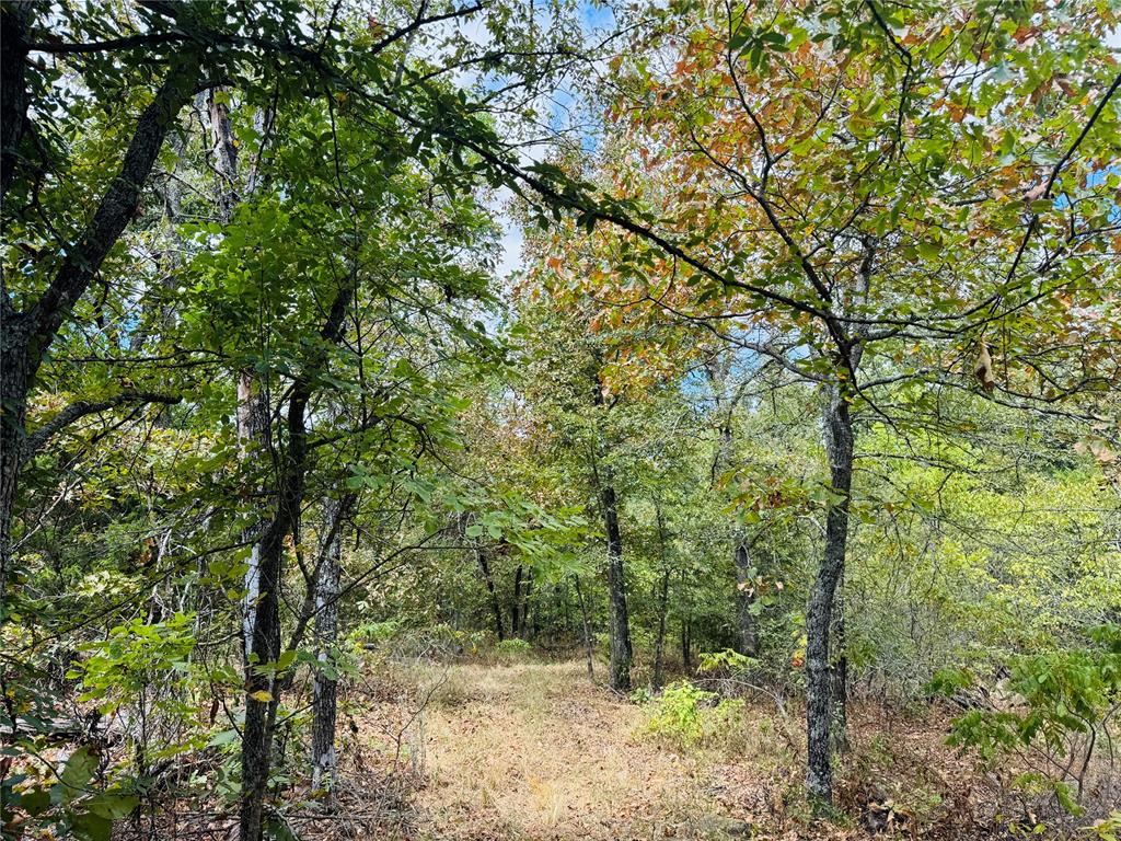 11825 Ns 3650 Road Property Photo 14