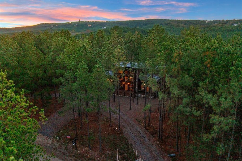 453 Bear Pine Trail Property Photo 3