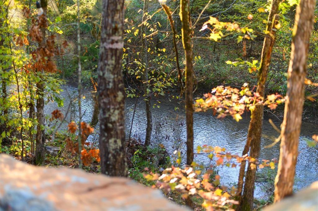 453 Bear Pine Trail Property Photo 4