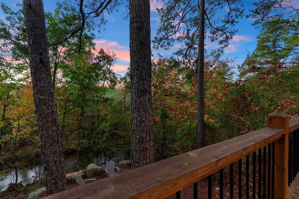 453 Bear Pine Trail Property Photo 46