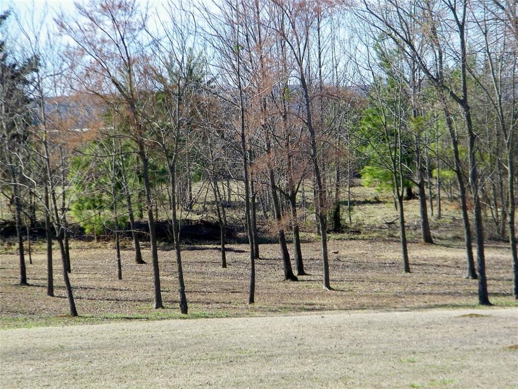 Oak Brook Drive Lot 5 Property Photo 11