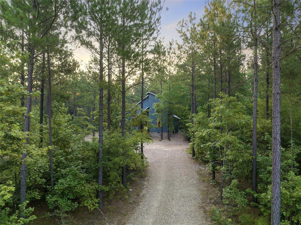 116 Hickory Ridge Road Property Photo 35