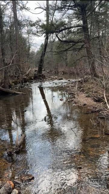 42 N Sunset Bluff Property Photo 1