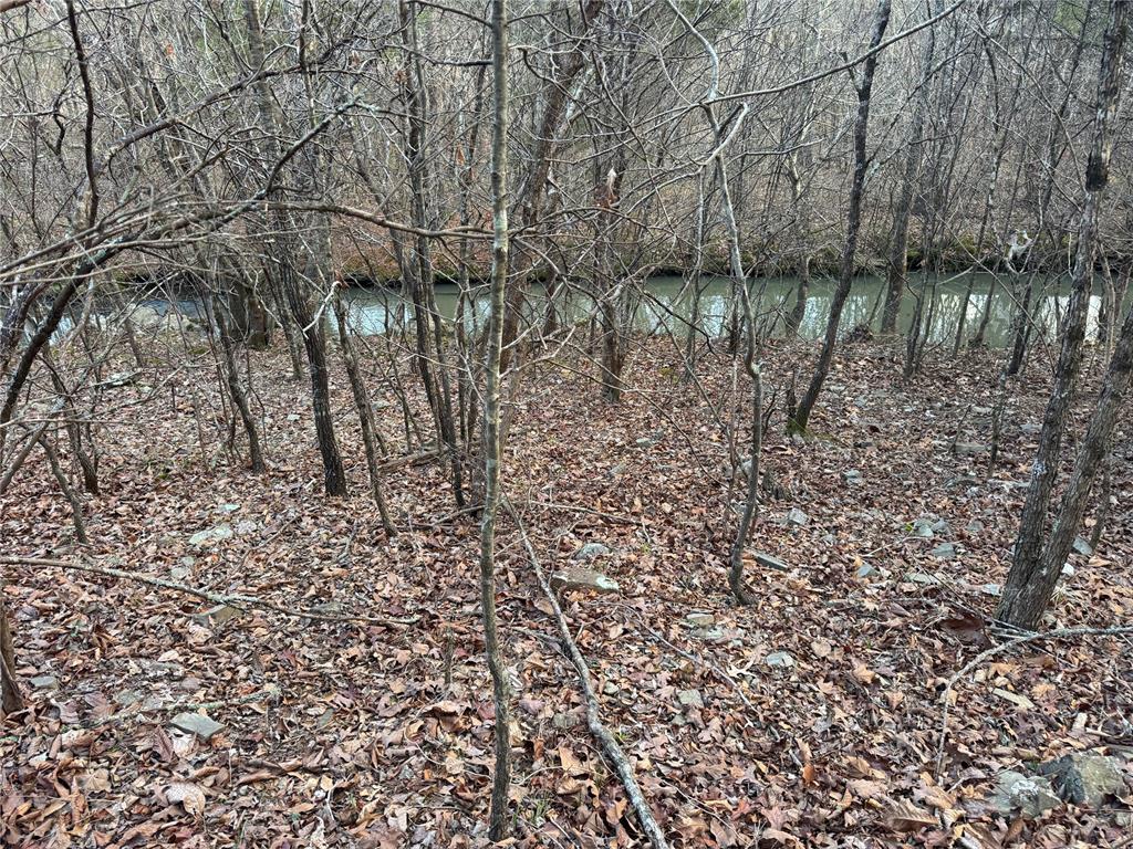 Timber Oak Trail Trail Property Photo 3
