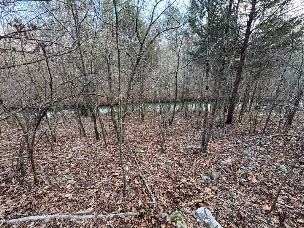Timber Oak Trail Trail Property Photo 4