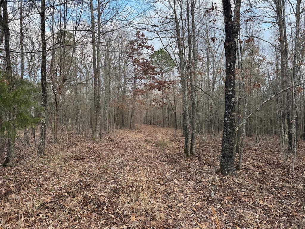 Timber Oak Trail Trail Property Photo 5