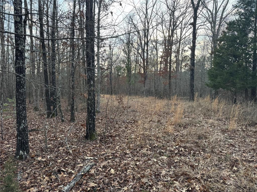 Timber Oak Trail Trail Property Photo 6
