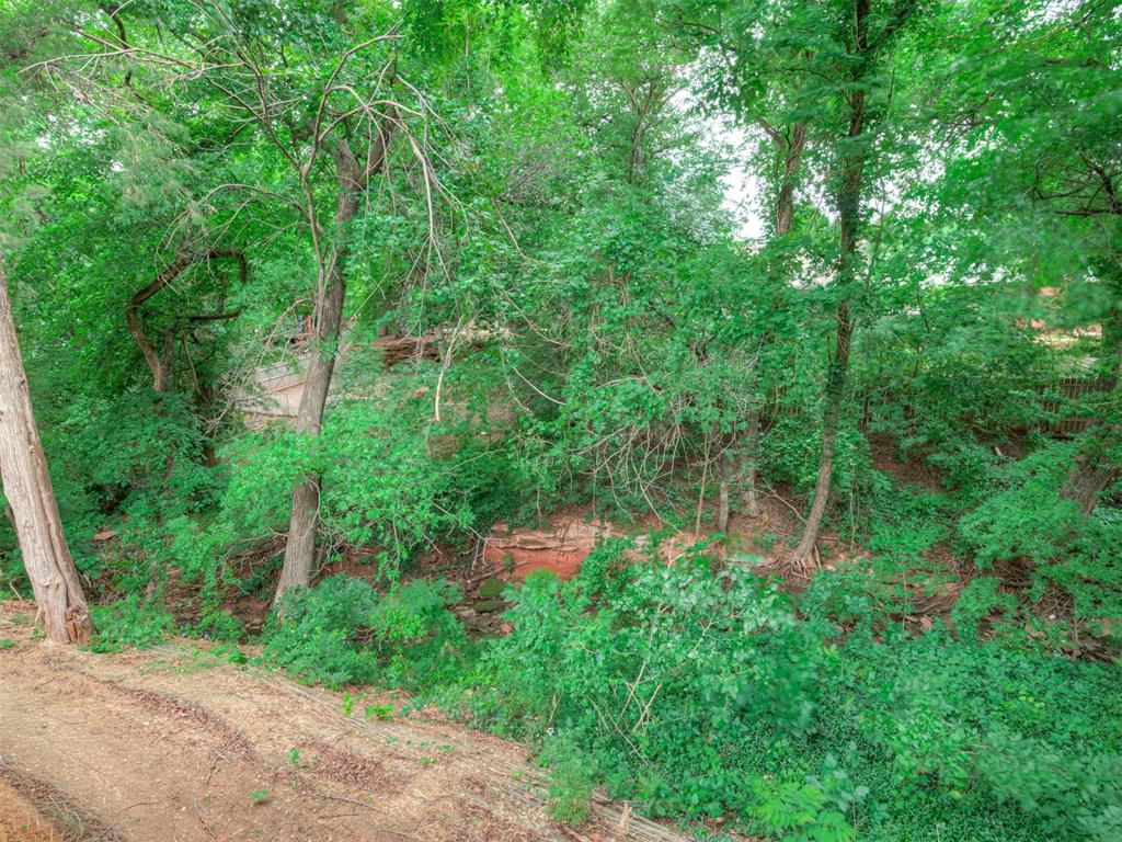 2319 Bent Trail Circle Property Photo 48