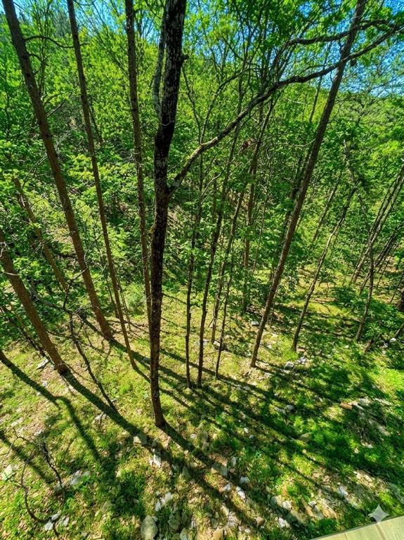 44 Winged Elm Circle Property Photo 19