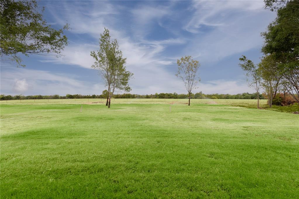 12509 Velvet Ash Avenue Property Photo 36