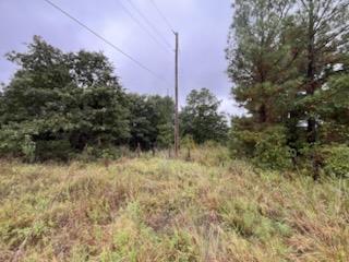31 Amber Ridge