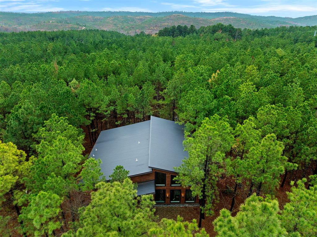 125 Bear Cedar Trail Property Photo 2