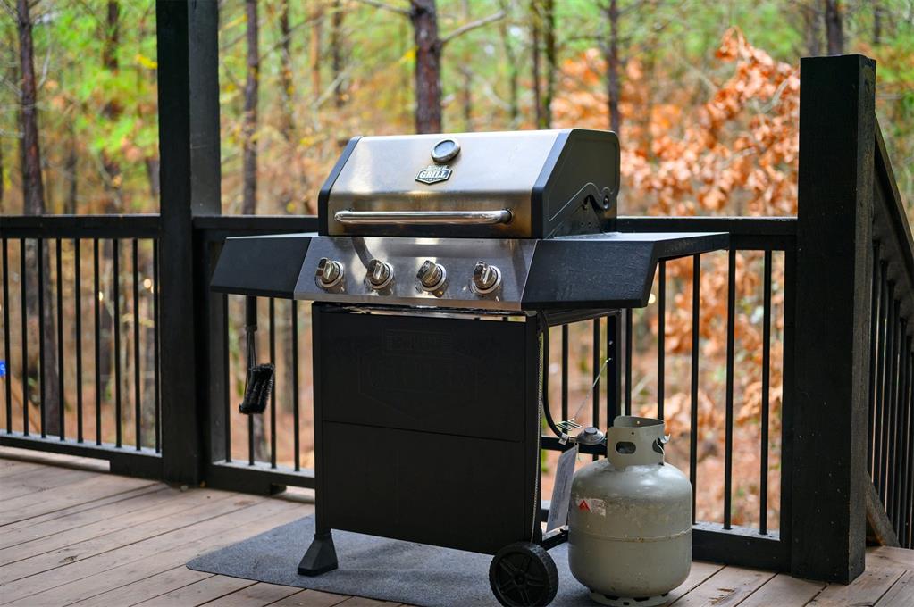125 Bear Cedar Trail Property Photo 30
