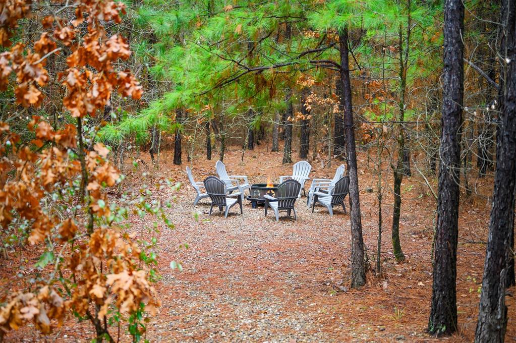 125 Bear Cedar Trail Property Photo 31