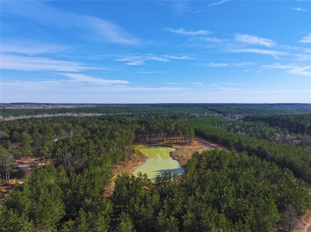152 Turkey Roost Trail Property Photo 4