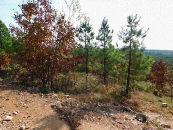 764 Kaisley Blue Eye Way Property Photo 4
