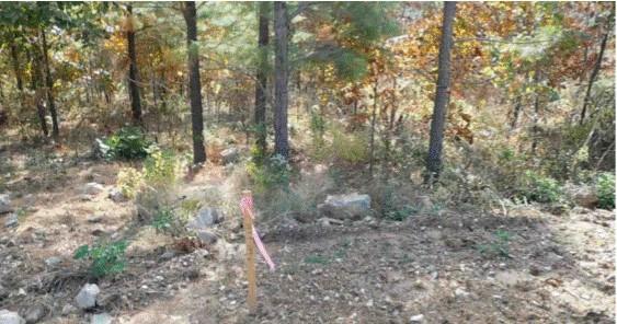 764 Kaisley Blue Eye Way Property Photo 5