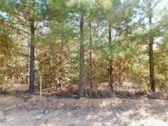 764 Kaisley Blue Eye Way Property Photo 6