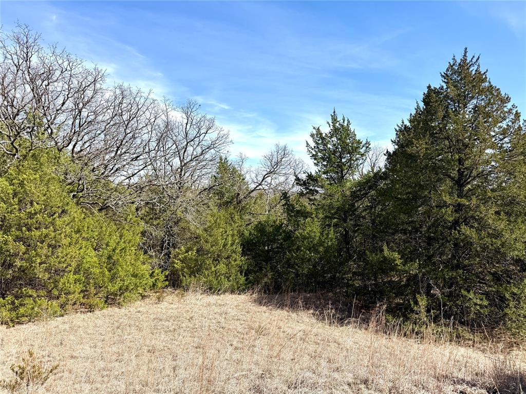 6551 164th Street Property Photo 3