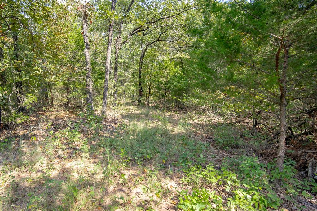 9220 120th Street Property Photo 45