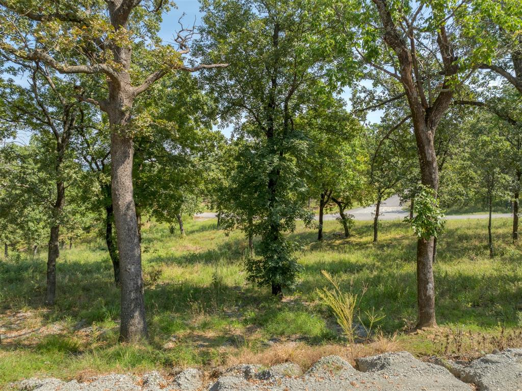 187 Patriot Pointe Property Photo 53