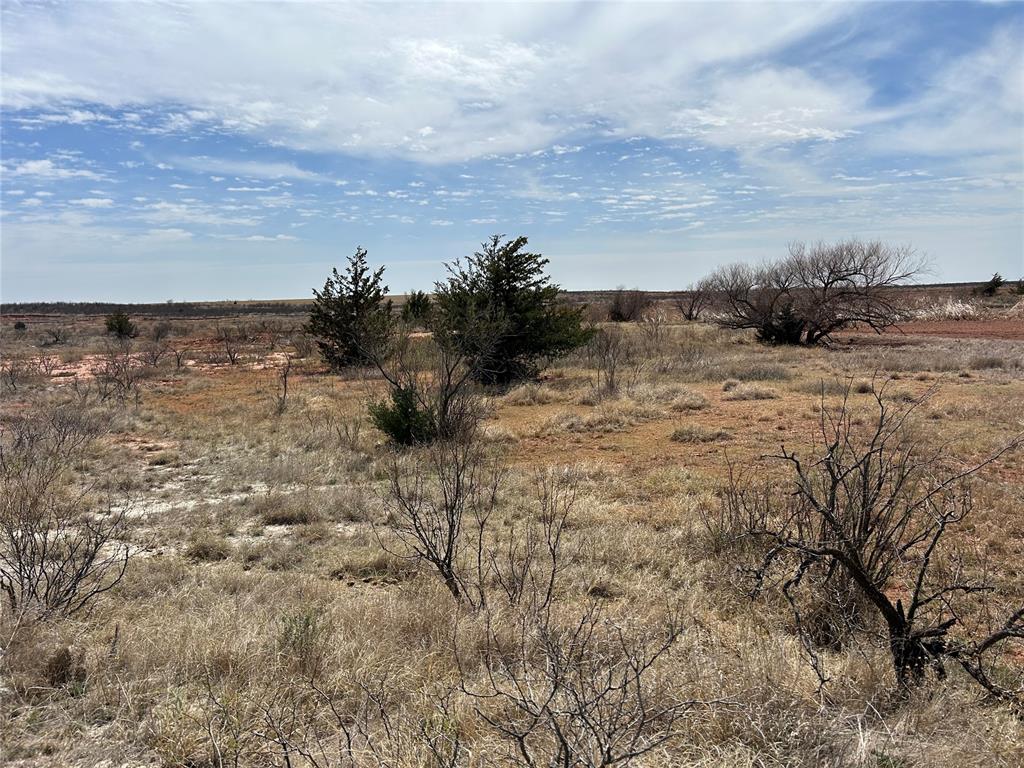 30389 E County Road 1360 Road Property Photo 23