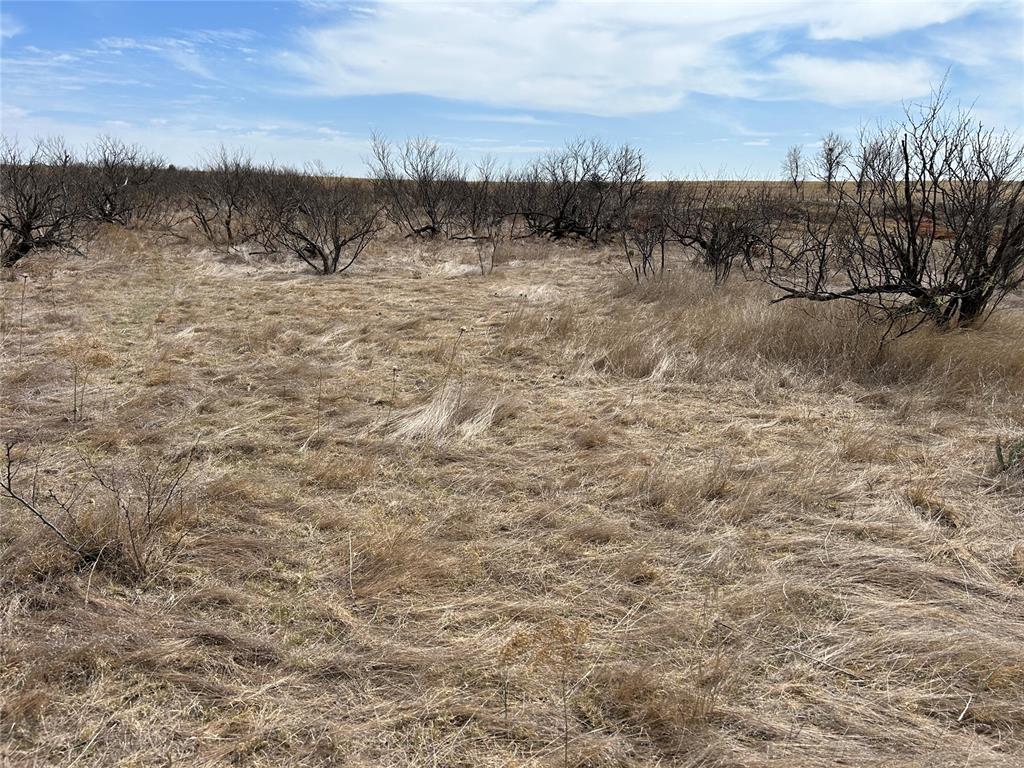 30389 E County Road 1360 Road Property Photo 27