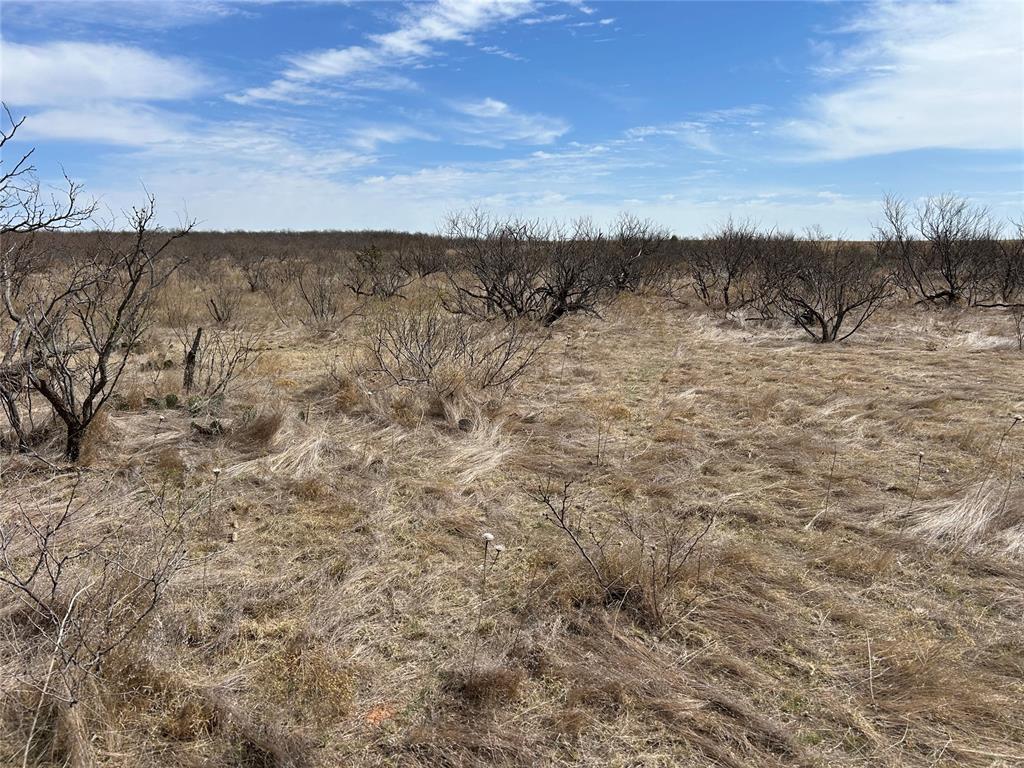 30389 E County Road 1360 Road Property Photo 28