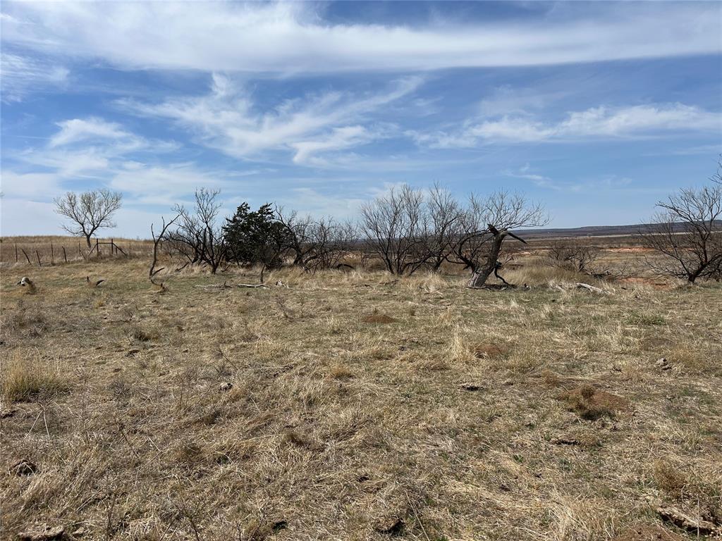 30389 E County Road 1360 Road Property Photo 30