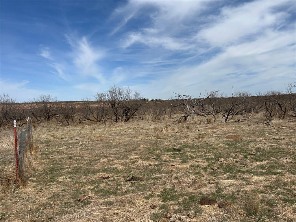 30389 E County Road 1360 Road Property Photo 31