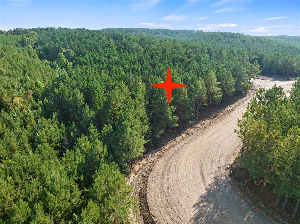163 Legacy Pine Trail Property Photo 1