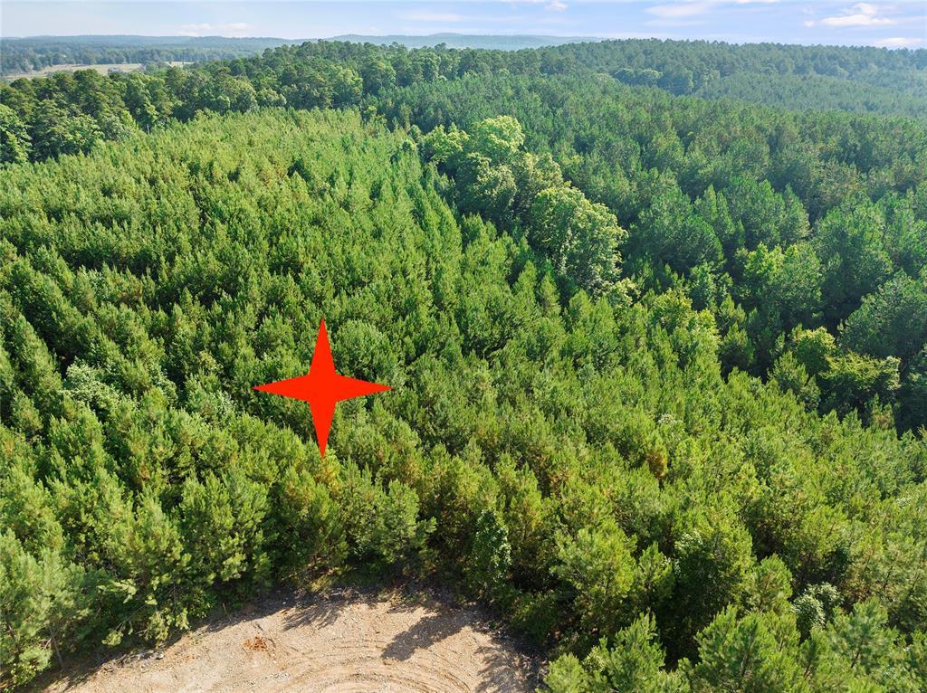 124 Legacy Point Trail Property Photo 1