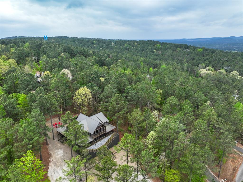 405 Red Berry Trail Property Photo 42