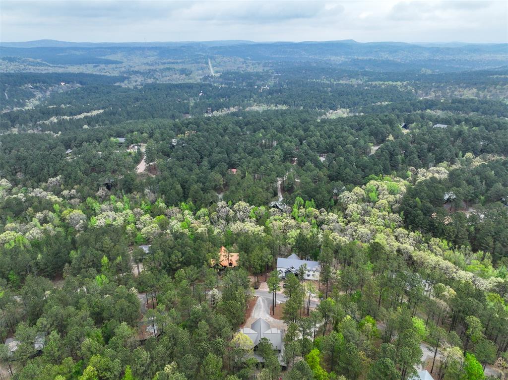 405 Red Berry Trail Property Photo 43