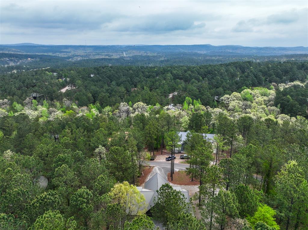 405 Red Berry Trail Property Photo 44