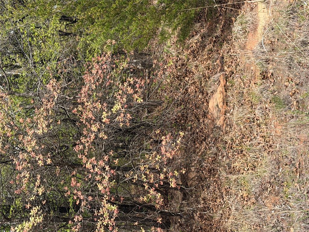 17980 S Cliff Road Property Photo 4