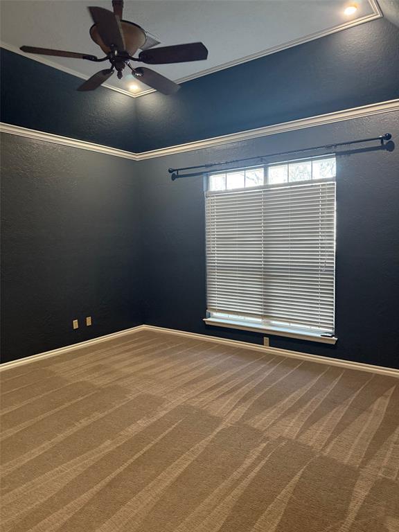 1009 Timbercreek Drive Property Photo 14