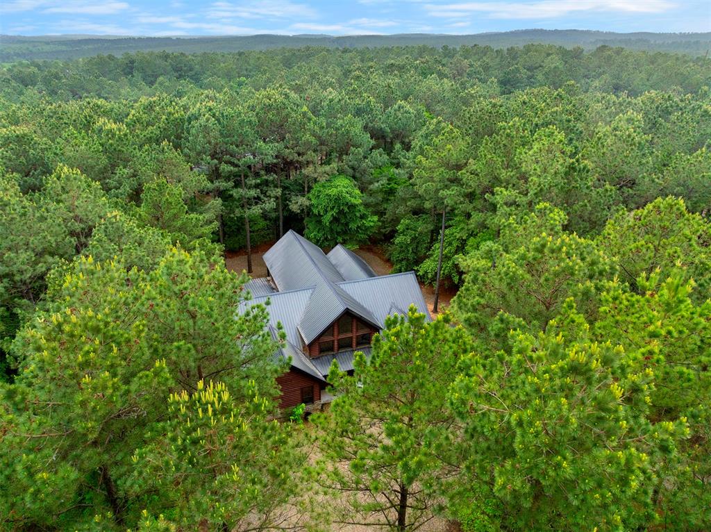 312 Sugar Pine Loop Property Photo 48