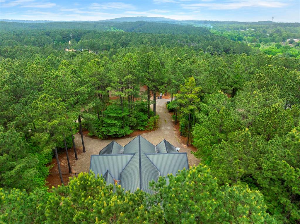 312 Sugar Pine Loop Property Photo 50