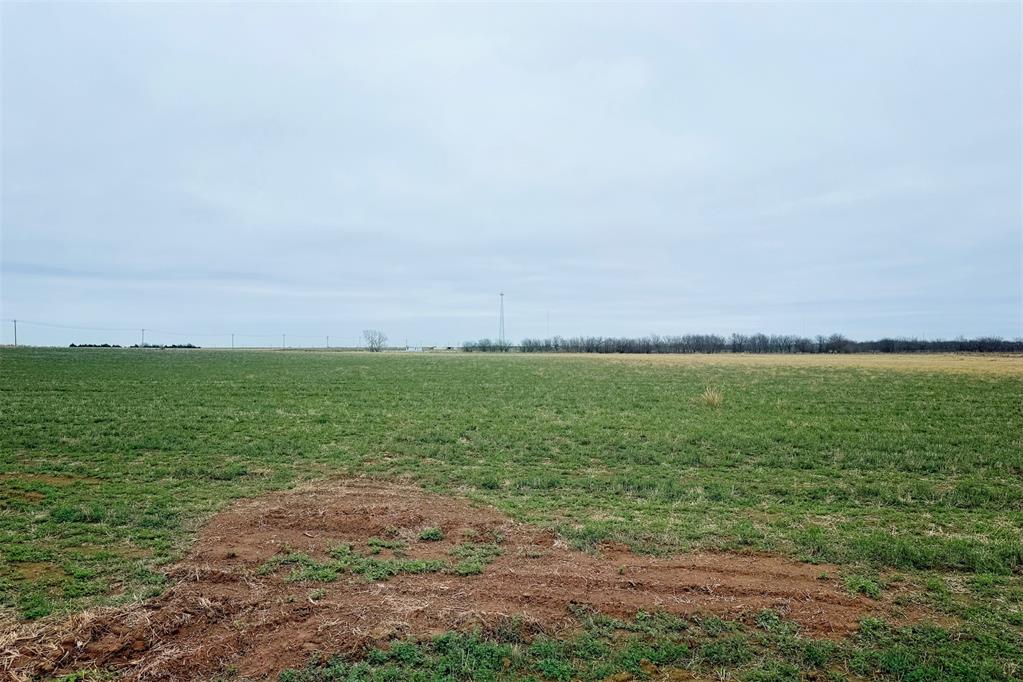 8101 Orchid Way Property Photo 1