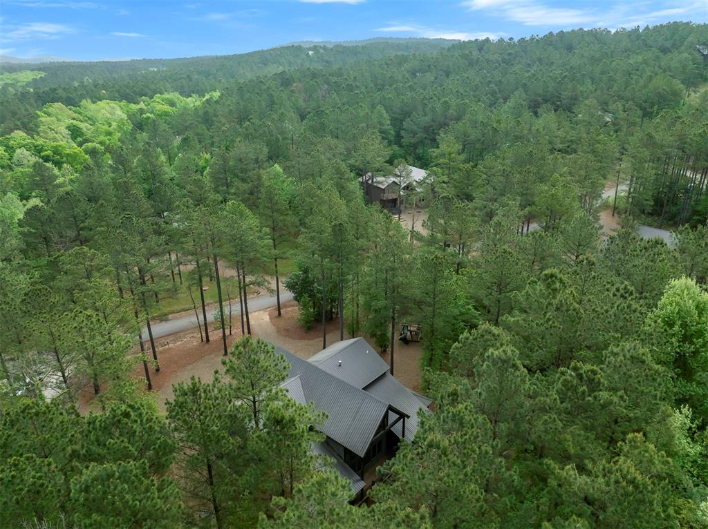 254 Green Apple Trail Property Photo 50