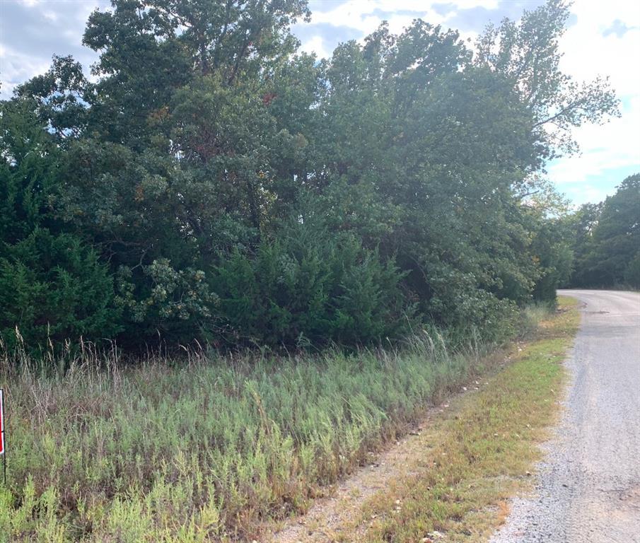 114 Timber Lake Drive Property Photo 13