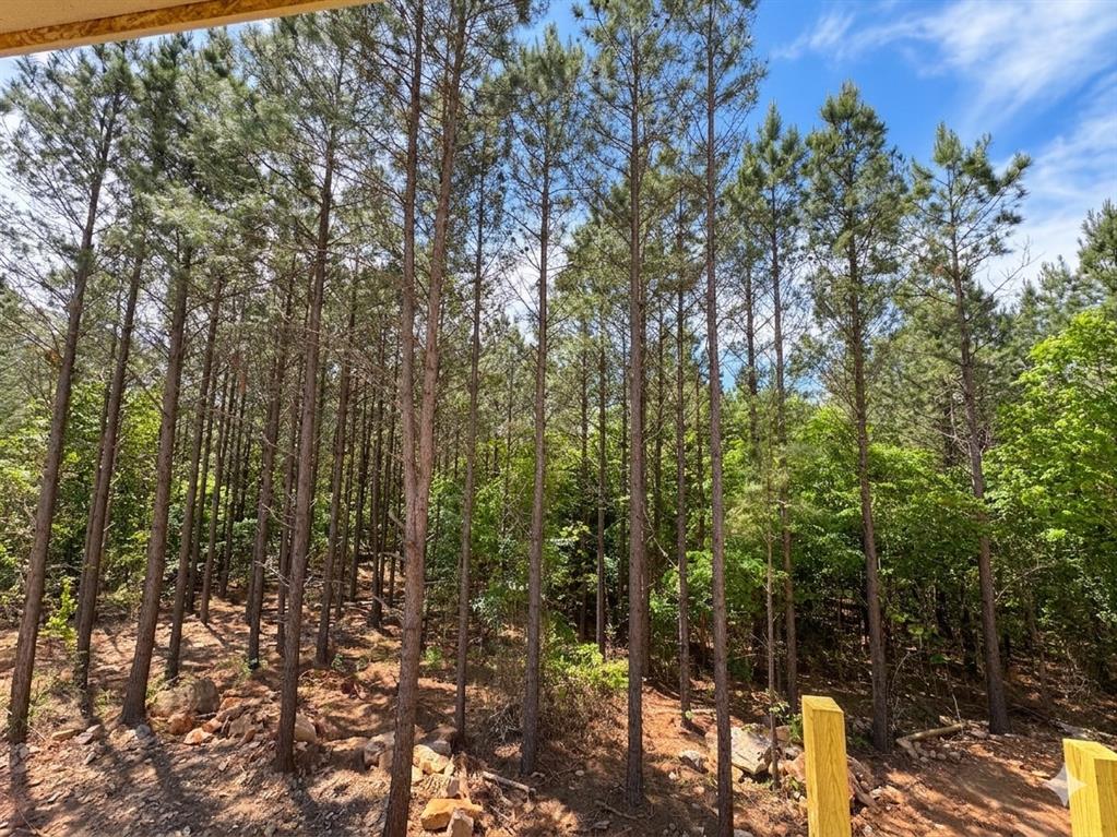 1275 Dawn View Way Property Photo 14