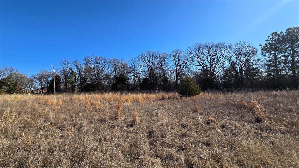 30995 Territory Creek Drive Property Photo 10
