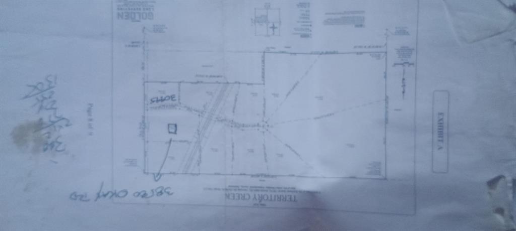 30995 Territory Creek Drive Property Photo 12
