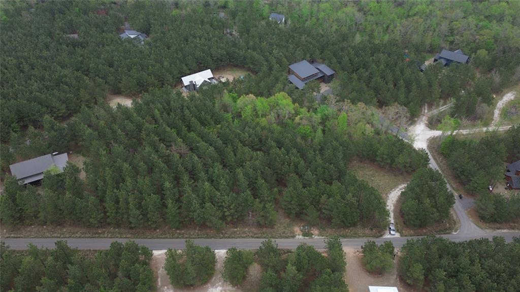 113 Weeping Willow Trail Property Photo 6
