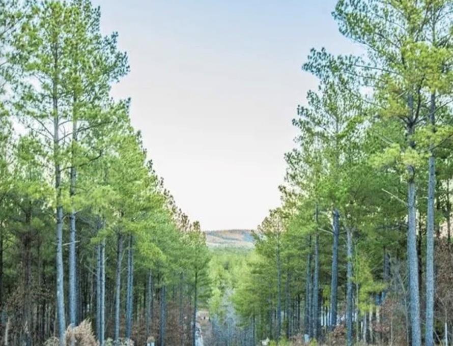 1222634 Property Photo 28
