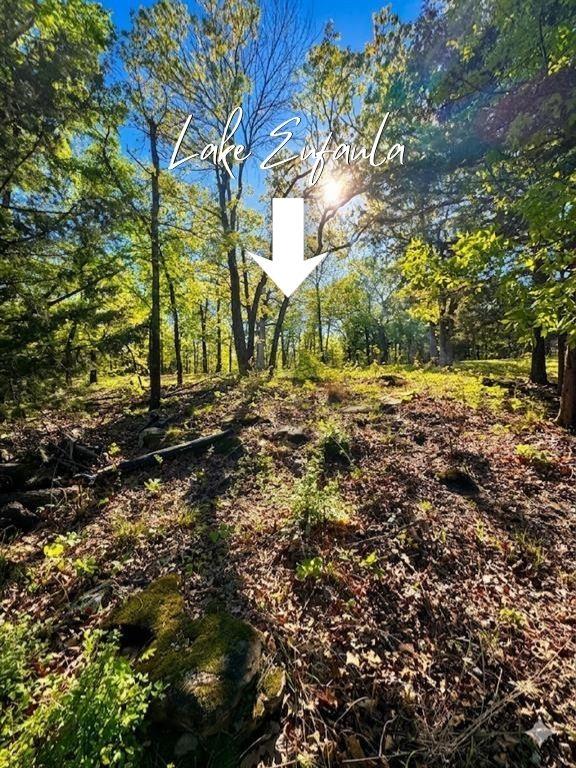 84 Patriot Pointe Property Photo 17