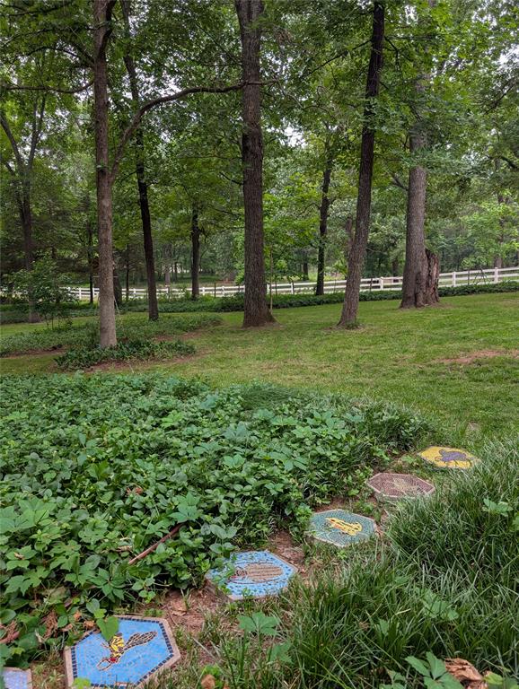2725 Cabin Road Property Photo 48